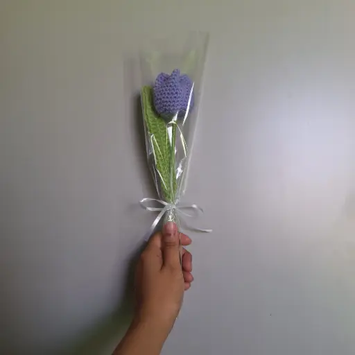 Tulip