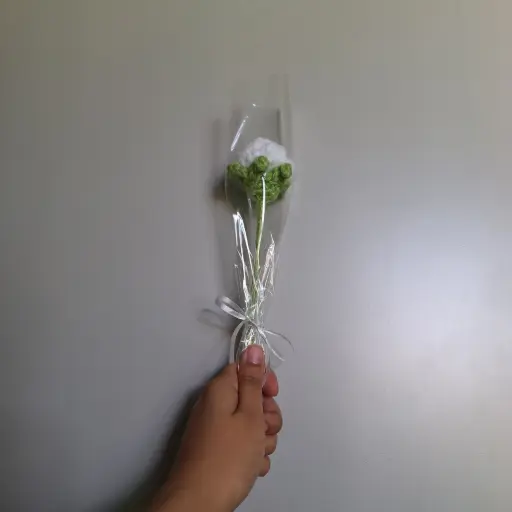 Rosebud(White)